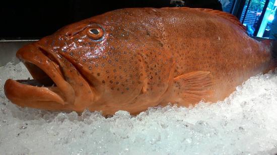 Shan Ji Seafood Restaurant